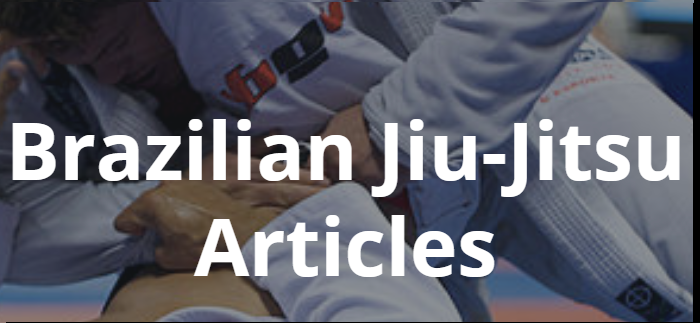 Brazilian Jiu Jitsu and Chess Website Preview